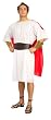 Adult Roman Centurian Costume