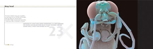 Microcosmos: Discovering the World Through Microscopic Images from 20 X to Over 22 Million X Magnification under Microscopes & Microsocopy in The Books Store