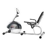 Sunny Sf-Rb801 Magnetic Recumbent Bike
