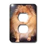 Dogs Pomeranian - Pomeranian Dog - Light Switch Covers - 2 plug outlet cover