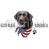 America-Black Lab Adult T-Shirt