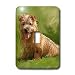Dogs Norfolk Terrier - Norfolk Terrier - Light Switch Covers - single toggle switch