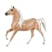Pinto - Palomino