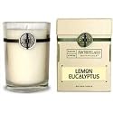 Archipelago Botanicals LEMON EUCALYPTUS CANDLE 60 Hour Aromatherapy Home Fragrance Signature Series All Natural Hand Poured Premium Soy Wax Jar Candle W/ Deluxe Gift Box