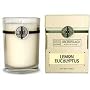Archipelago Botanicals LEMON EUCALYPTUS CANDLE 60 Hour Aromatherapy Home Fragrance Signature Series All Natural Hand Poured Premium Soy Wax Jar Candle W/ Deluxe Gift Box