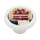 Apples in a Basket Decorative High Gloss Ceramic Drawer Knob