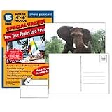 Make-Your-Own 4x6 Photo Postcards; 12+3 Pack