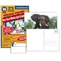 Photo Postcard 4x6 Turn Your Photos Into Post Cards (15 Pack)