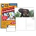 Photo Postcard 4x6 Turn Your Photos Into Post Cards (15 Pack)