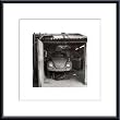 Art Poster Metal Framed Print - Beetle - Artist: Richard McConnell- Poster Size: 15 X 15