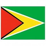 Co-operative Republic of Guyana Flag