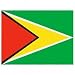 Co-operative Republic of Guyana Flag