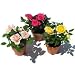 Mini Rose Trio - Send Mom Roses for Mother's Day!