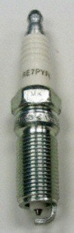 Champion (7437) RE7PYP6 Double of 1