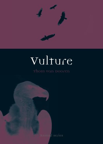 Vulture (Animal)