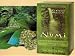 Numi Tea Rainforest Green 18 Bags