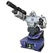 Transformers Head Bust: Megatron