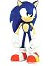Sonic The Hedgehog 10 Inch Deluxe Action Figure Sonic Over 12 Points of Articulation!
