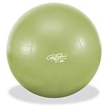 Cory Everson 65cm Anti Burst Fitness Ball Set 3195wv7eKyL. SL160 Cory Everson 65cm Anti Burst Fitness Ball Set