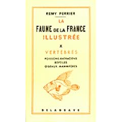 La faune de la France illustr�e - X - vertebres poisssons-batraciens - reptiles - oiseaux-mammif�res