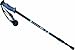 Lichfield Walking Poles - Pair - Black