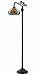 Z-Lite Z10-34BR 1 Light Bridge Lamp in Chestnut Bronze