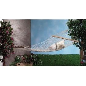 Cotton Double Person Hammock by WGC