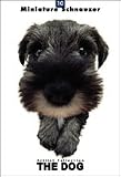 THE DOG Artlist - Miniature Schnauzer - Hand Book - 6 Postcards