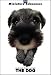   - THE DOG Artlist - Miniature Schnauzer - Hand Book - 6 Postcards