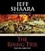 The Rising Tide: A Novel of World War II
