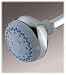 Health & Personal Care : Waterpik Wall Mount Massage Showerhead