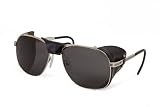 Dragon Alliance Glacier Glass Sunglasses (Antique, Dark Bronze P2)