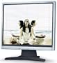 NEC V91LCD-SLV 19" LCD Monitor (Silver)