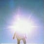 Vision Creation Newsun