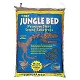 T-REX HERMIT CRAB JUNGLE BED 1QT
