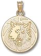Minnesota Timberwolves Basketball 3/4" Charm/Pendant