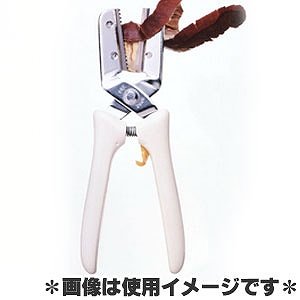 新型 栗くり坊主