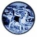 Beagle #7225 Danish Blue Porcelain Dogplate Beagles Dog Plate
