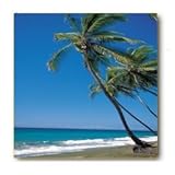 IMAGE OF Ceramic Coaster Set - 4 pcs - Designer Coasters: Nature/Scene/ Scenery - (CCNA-226)