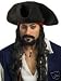 Deluxe Pirate Hat with Moustache and Goatee: Adult's One Size Fits All