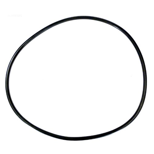 Pentair O-RING Clamp 4000 Series Lid # 071439