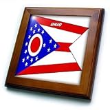 State Flag Of Ohio - 8x8 Framed Tile