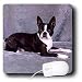 terrier39 - Dogs Boston Terrier Boston Terrier Mouse Pads