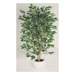 k.A. Dekorationspflanze Ficus Nitida 120 cm 720 Bl�tter