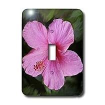 Flowers - Pink Hibiscus - Light Switch Covers - single toggle switch