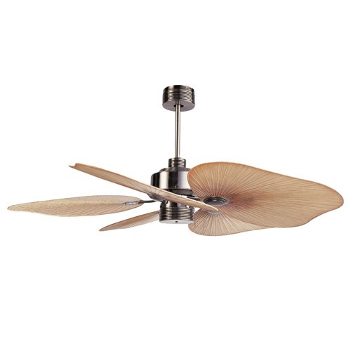 Emily Barunga Ellington Fans Tah525 Tahiti Ceiling Fan