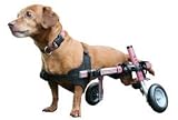 Dog Wheelchair Pink Small