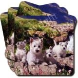 WEST HIGHLAND TERRIER FAMILY Set of 4 Coasters