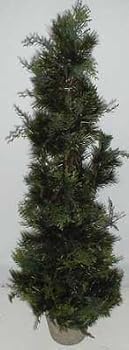 3' Mixed Cedar/Fir Spiral Topiary