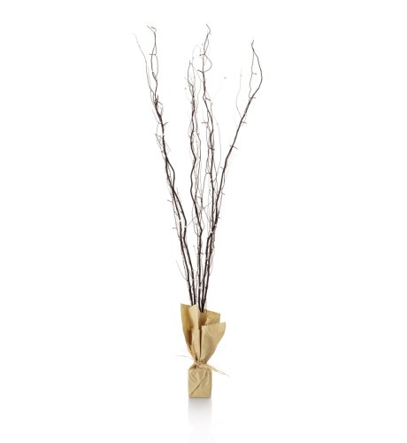 Decorative Twigs with Lights